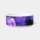 Search for purple pet bowls Classic