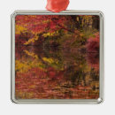 Search for fall autumn leaves christmas decor Yellow