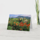 Search for crested butte postcards Nancy rotenberg