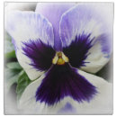 Search for pansy napkins Purple