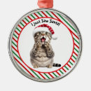 Search for funny cat ornaments Animal lover