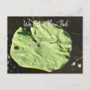 Search for puns congratulations cards Congrats