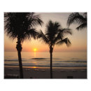 Search for palm trees posters Beach