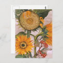 Search for seed postcards Botanical