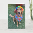 Search for luau thank you cards Hawaiian