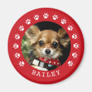 Search for paw print magnets Forever in our hearts