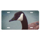 Search for hunting license plates Duck