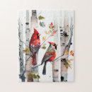 Search for cardinals on birch trees Nature