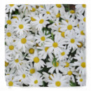 Search for photo bandanas Summer