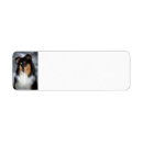 Search for border collie return address labels Animal lover