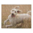 Search for goldendoodle puzzles Mix breed