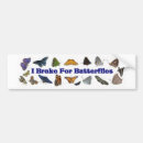 Search for butterflies bumper stickers animals