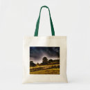Search for jewelry bags Pretty