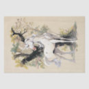 Search for unicorn tissue paper Mythology
