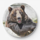 Search for native american bear Birthday