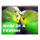 Search for bird calendars Macaw