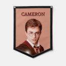 Search for pennants Official hp licensed  flag