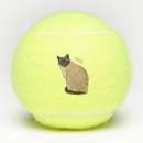 Search for cat tennis balls Pet