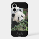 Search for panda iphone cases Bamboo