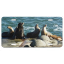 Search for lion license plates Nature