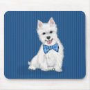 Search for west highland white terrier Puppies