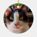 Search for tuxedo cat ornaments Black