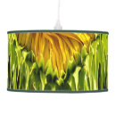 Search for funky lamps Abstract