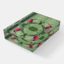 Search for dragonfly paperweights Wildlife