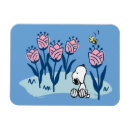 Search for snoopy magnets Charles schulz