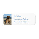 Search for boxer return address labels Canine