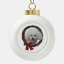 Search for bichon frise ornaments Cute