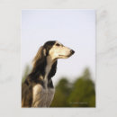 Search for two sided postcards Blue
