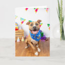 Search for pitbull birthday cards Dog