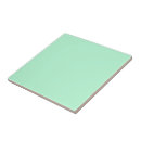 Search for mint green color tiles Solid