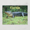Search for american national park postcards United states