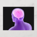 Search for neuroscience gifts Healthcare