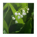 Search for lily of the valley gifts Lilly