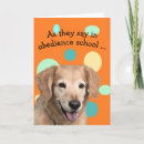 Search for humorous get well cards Injury