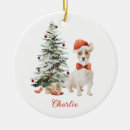 Search for jack russell dog ornaments Pet
