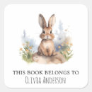 Search for blue and white rabbit plates Bunny