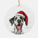 Search for great dane ornaments Watercolor