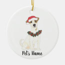 Search for jack russell terrier gifts Watercolor