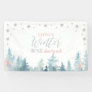 Search for winter wonderland banners Silver