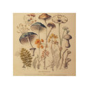 Search for vintage wood wall art Nature