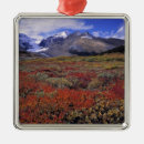 Search for banff ornaments Rocky mountains