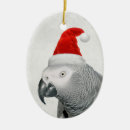 Search for parrot ornaments African