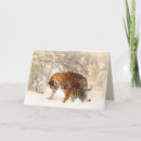 Search for tiger cards Wild