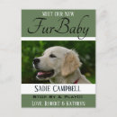 Search for new puppy announcement postcards For pets