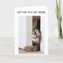 Search for veterinarian birthday cards Photography