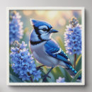 Search for bluebird drawing art Bird lovers